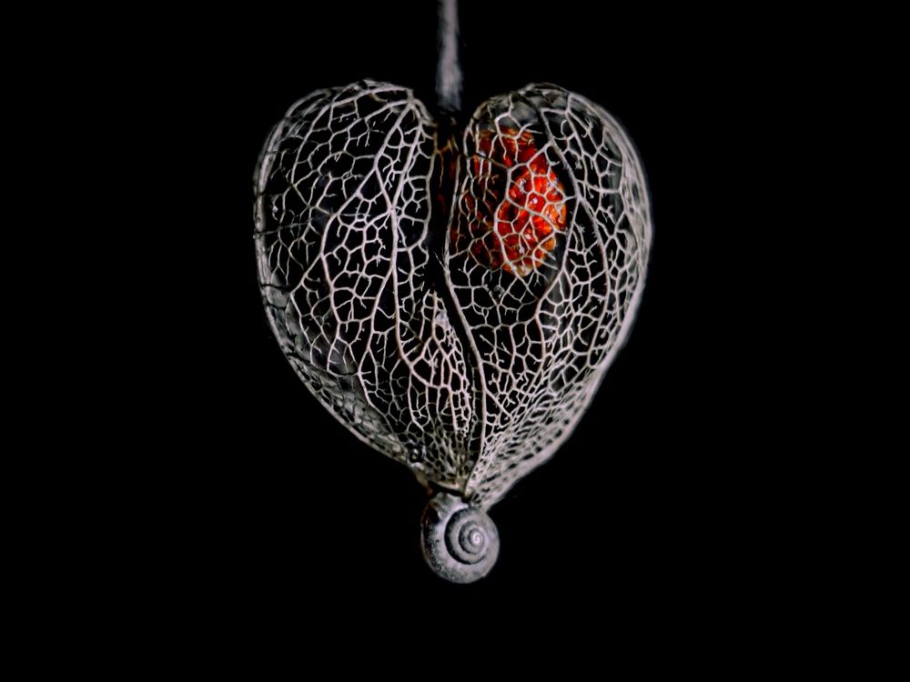 Фотография автора Наталья Алексеева