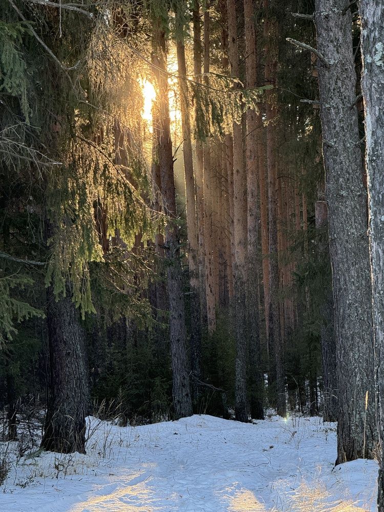 Photograph by Елена Федорова