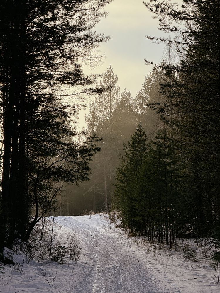 Photograph by Елена Федорова