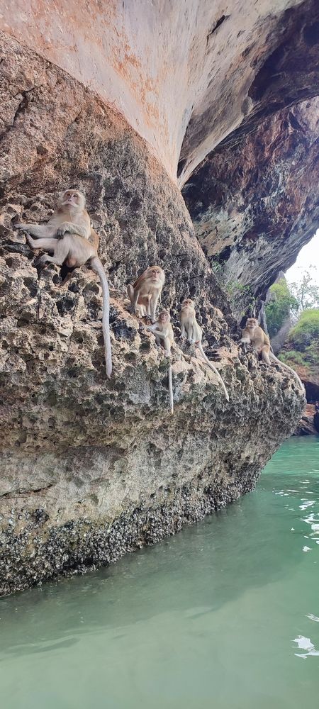 Photograph by Полина