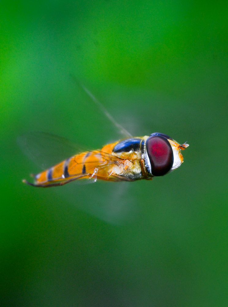 Photograph by Kasun Wickramasinghe