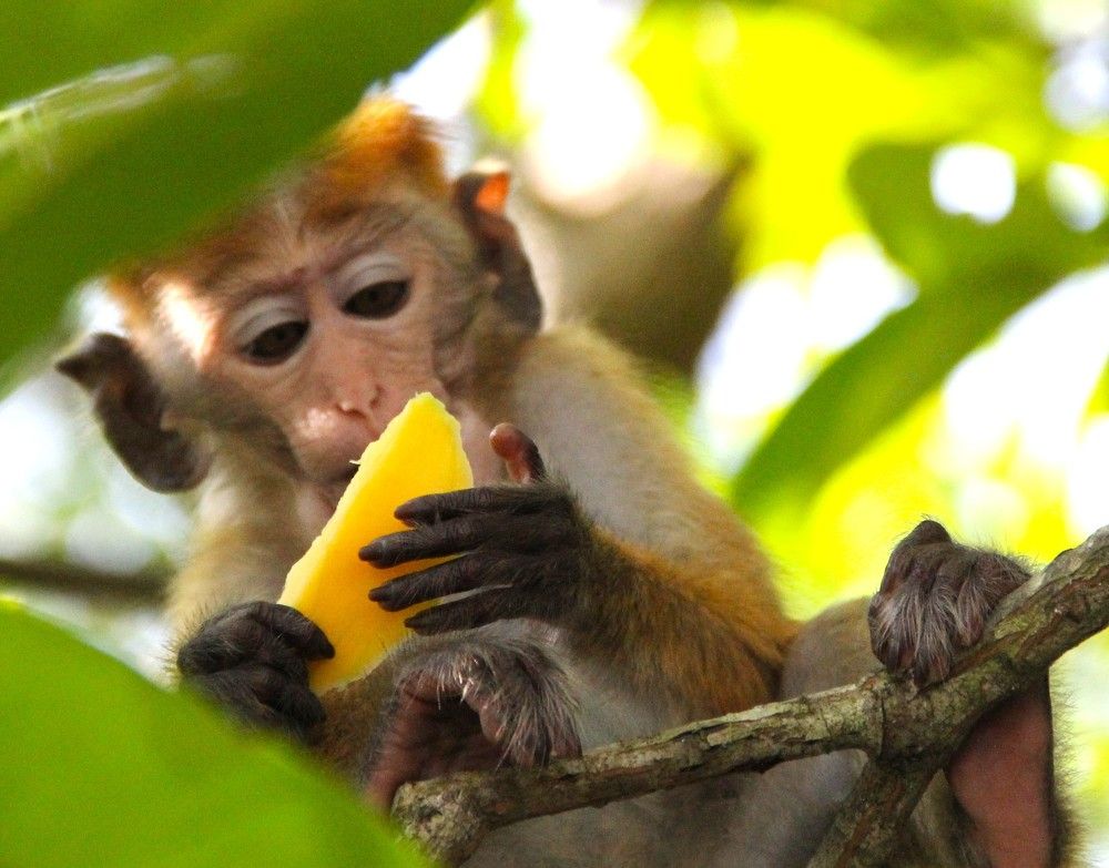 Photograph by Светлана Иванова