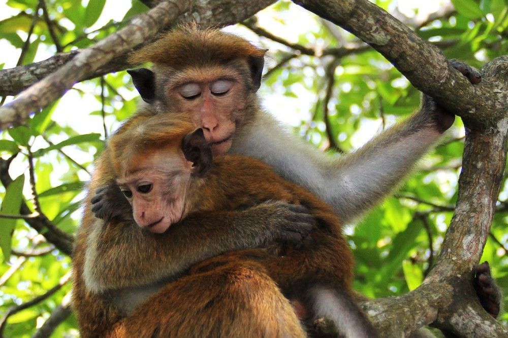 Photograph by Светлана Иванова