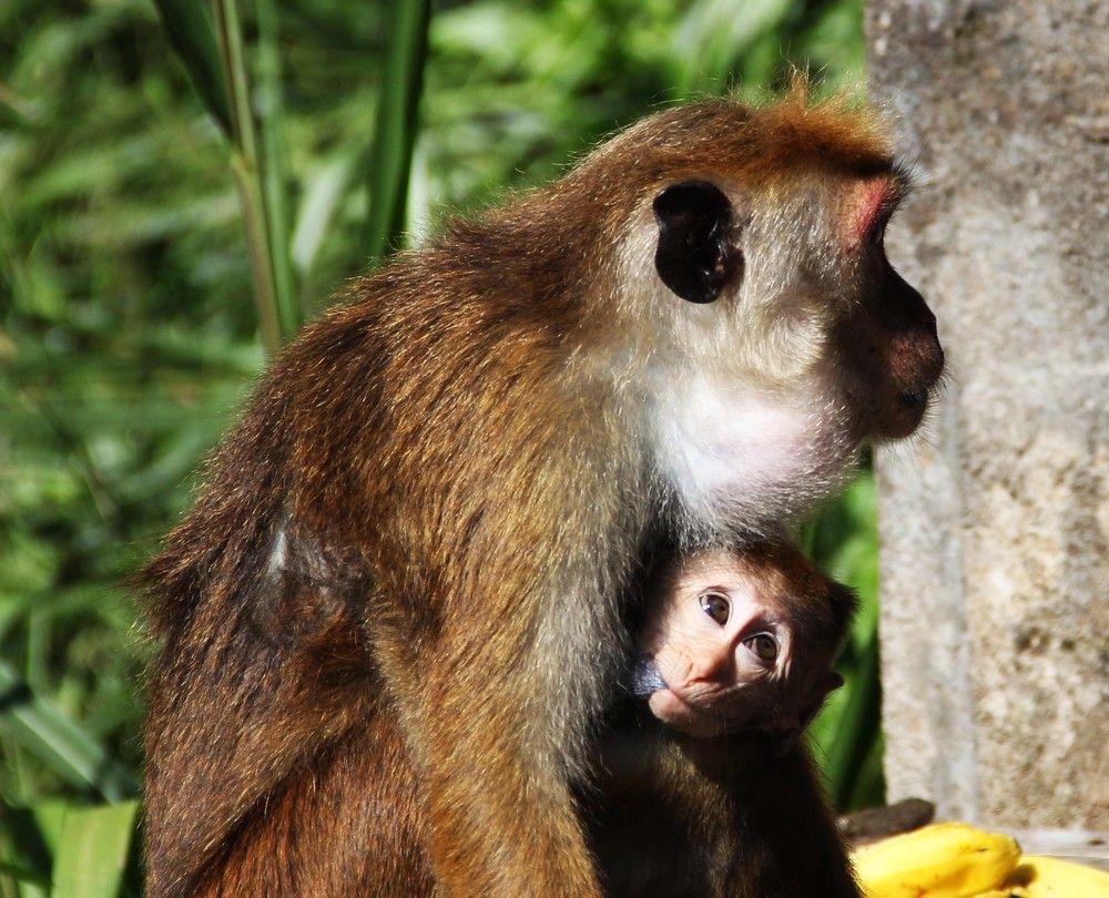 Photograph by Светлана Иванова