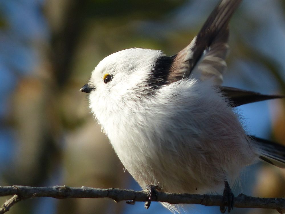 Photograph by Георгий Салюков