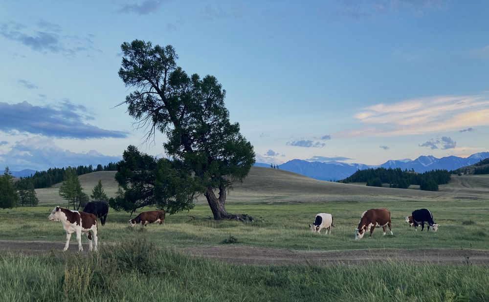 Photograph by Константин Михайлов