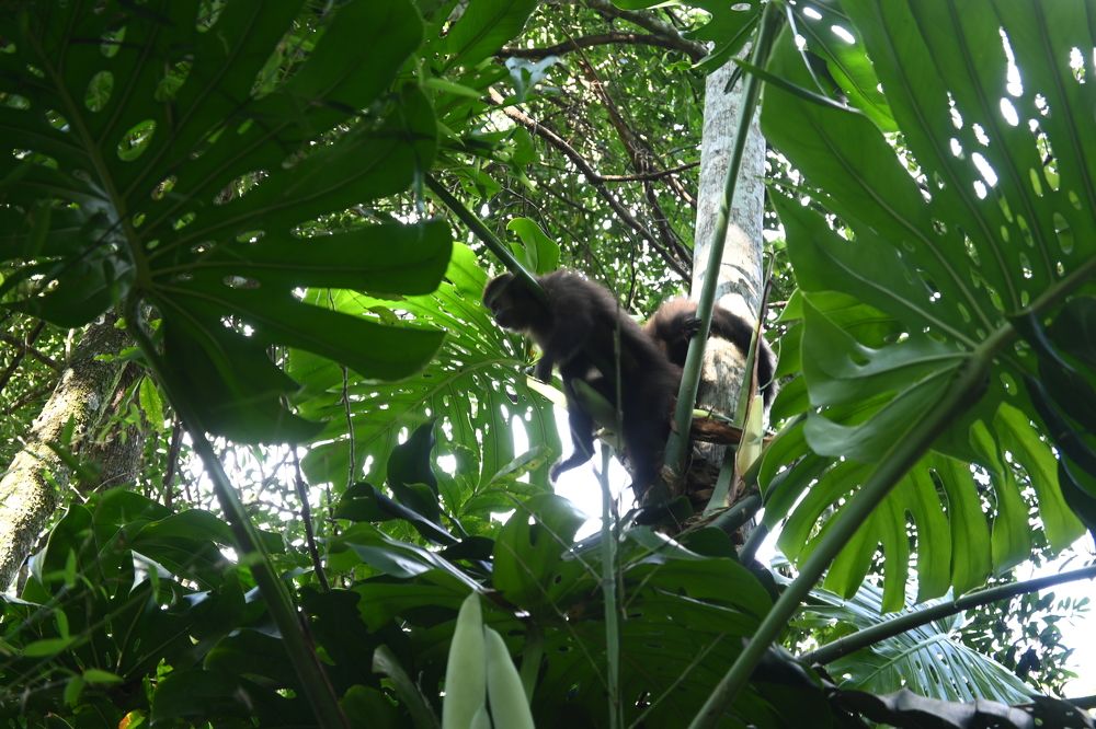 Photograph by Agus Amar