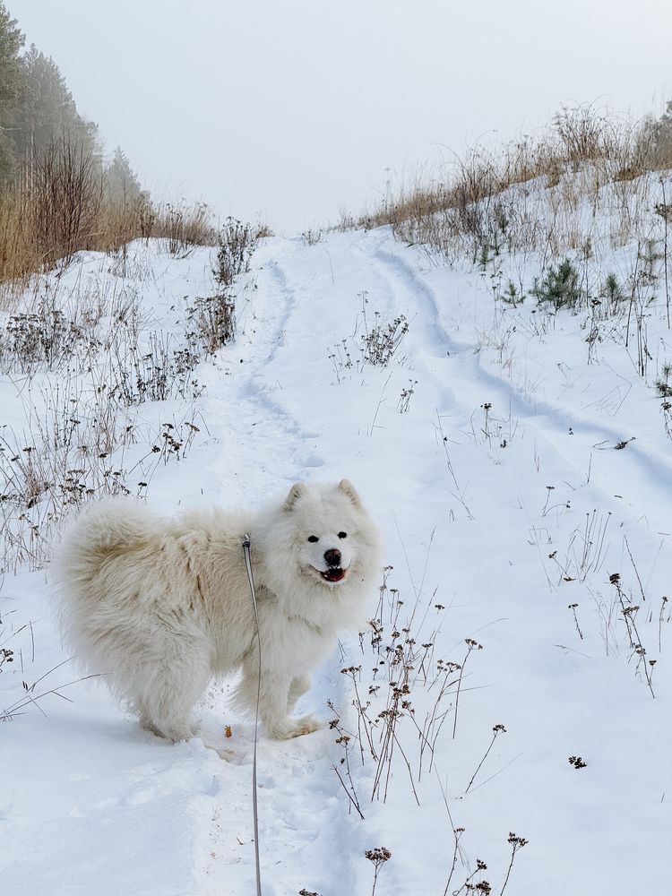 Photograph by Елена Федорова