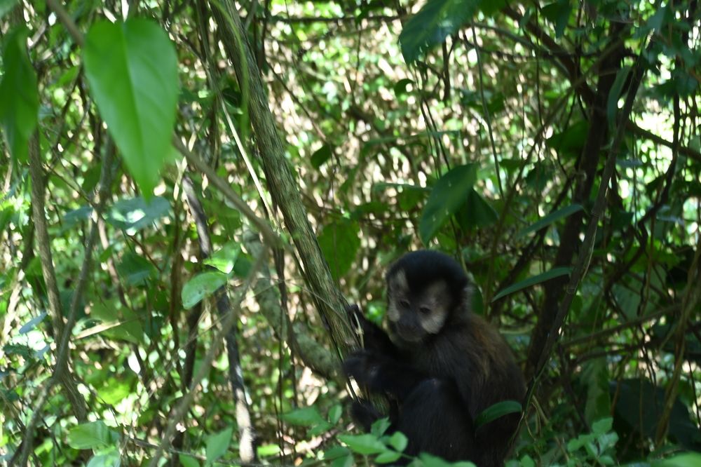 Photograph by Agus Amar