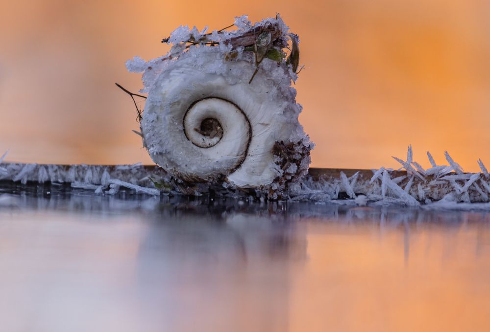 Photograph by Елена Гольдебаева