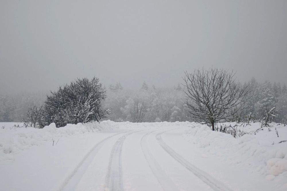 Photograph by Владимир Логвинов