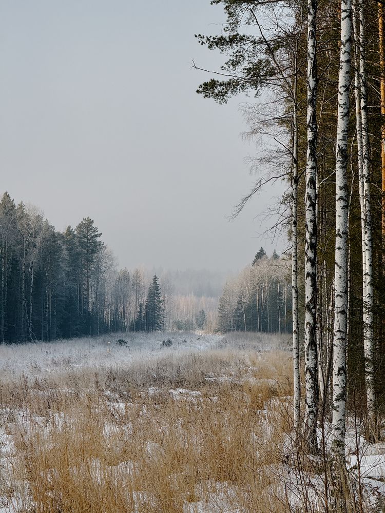 Photograph by Елена Федорова