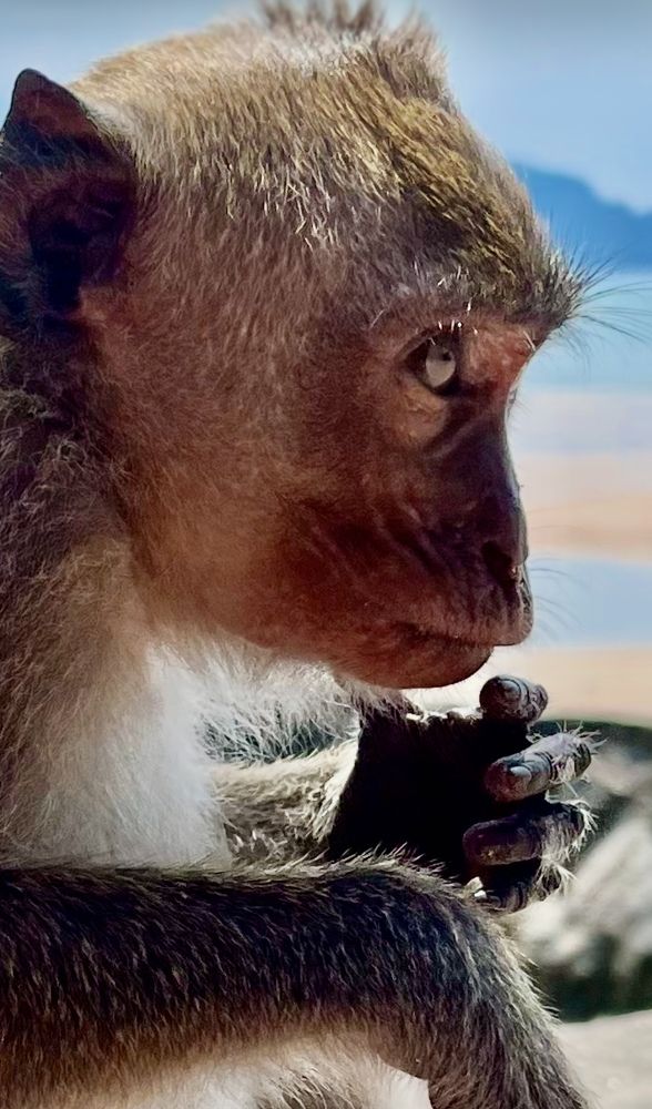 Photograph by Ольга Белоусова