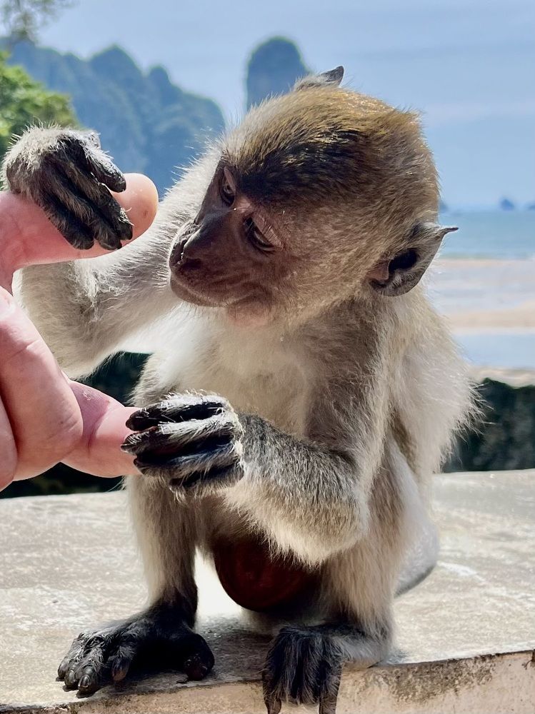 Photograph by Ольга Белоусова