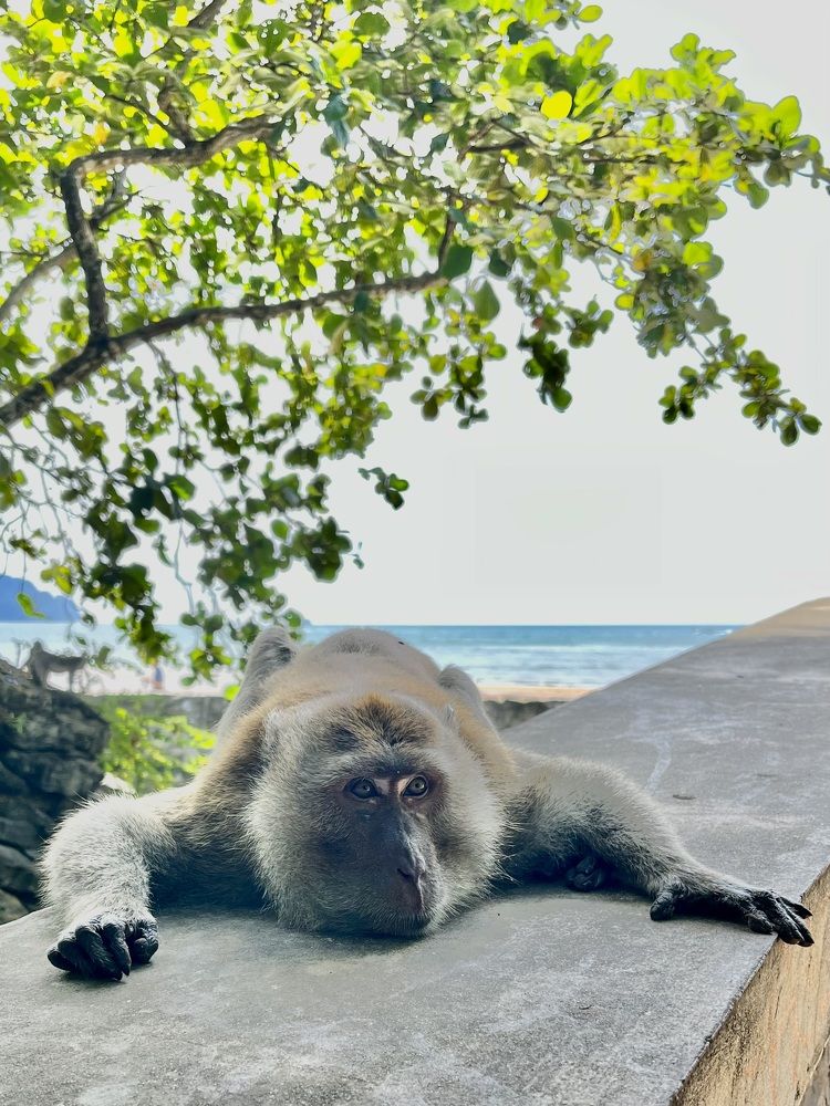 Photograph by Ольга Белоусова