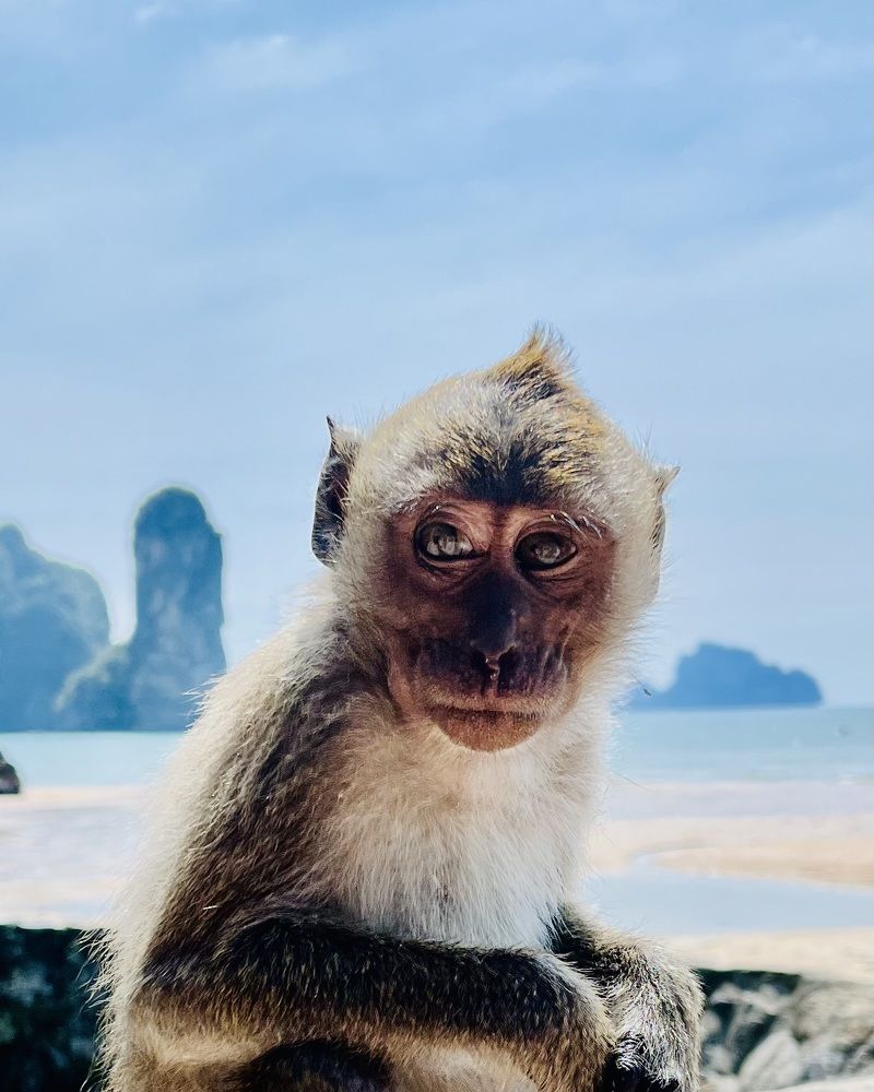 Photograph by Ольга Белоусова