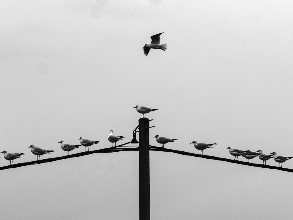 Photograph by Lev Tsenter