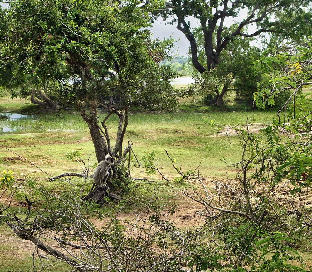 Photograph by Анатолий Максимов