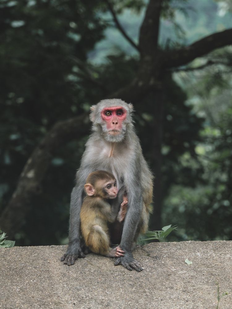 Photograph by Ravada Srikanth