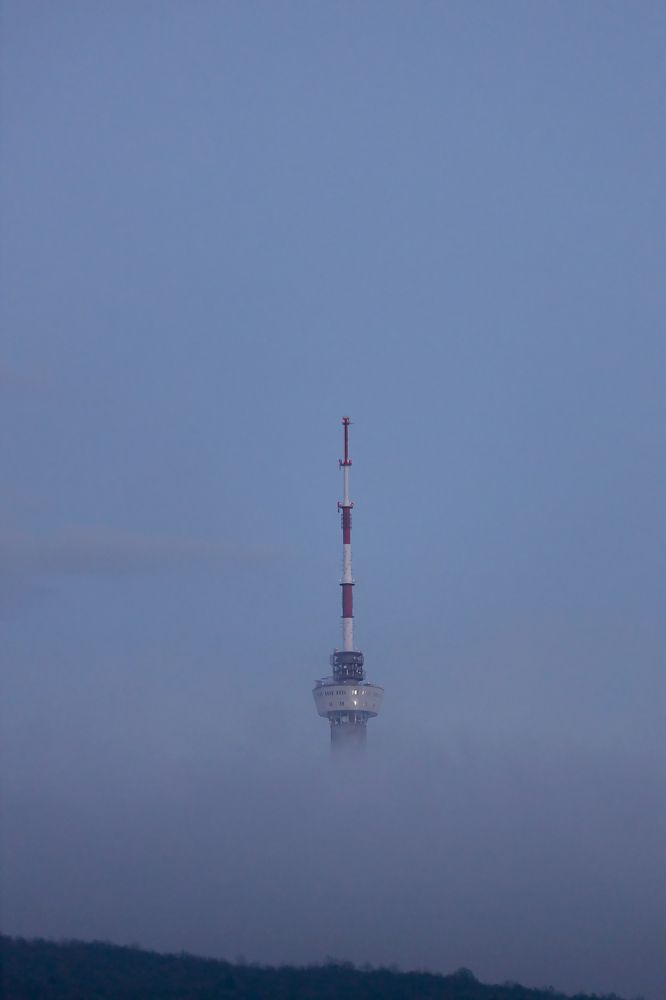 Photograph by Ольга Богданова