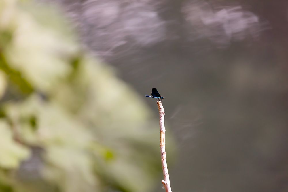 Photograph by Ольга Богданова