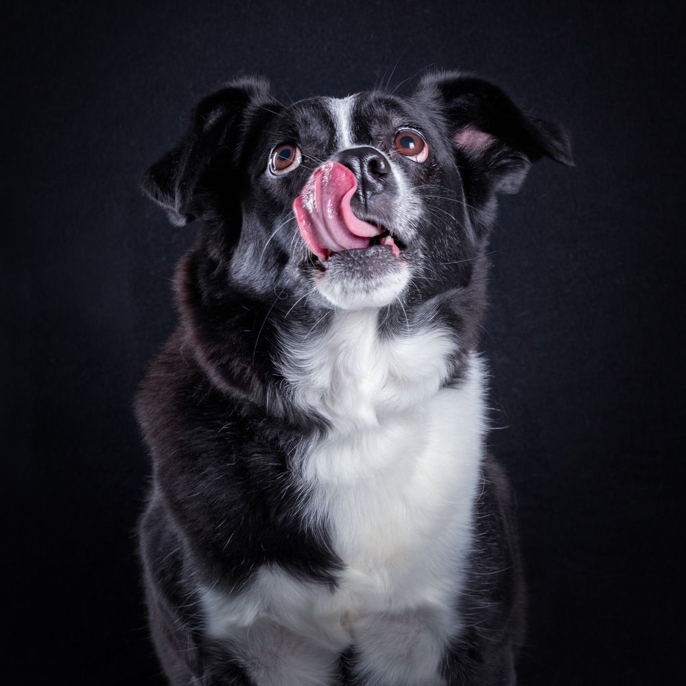 Фотография автора Наталья Якушонок