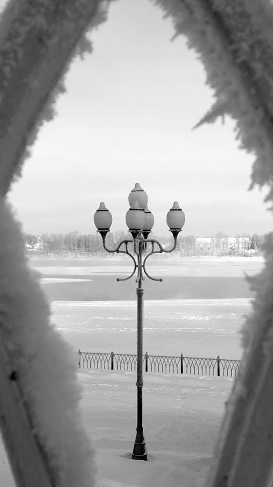 Photo #11708124
