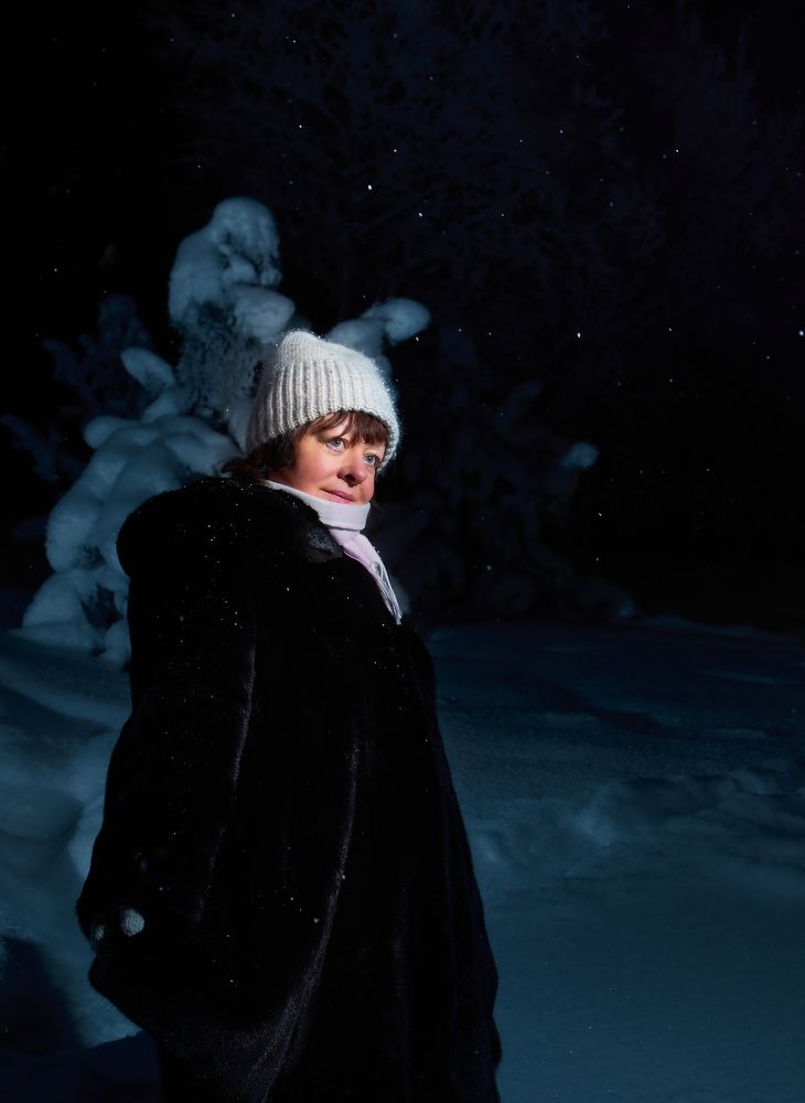 Новогодняя ночь