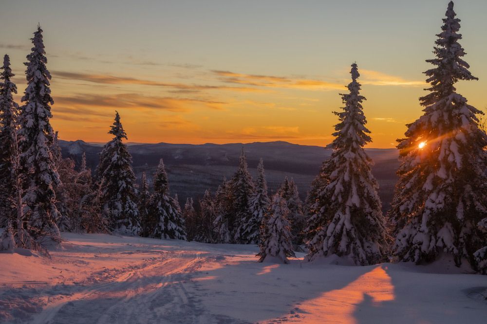 Photograph by Елена Перминова