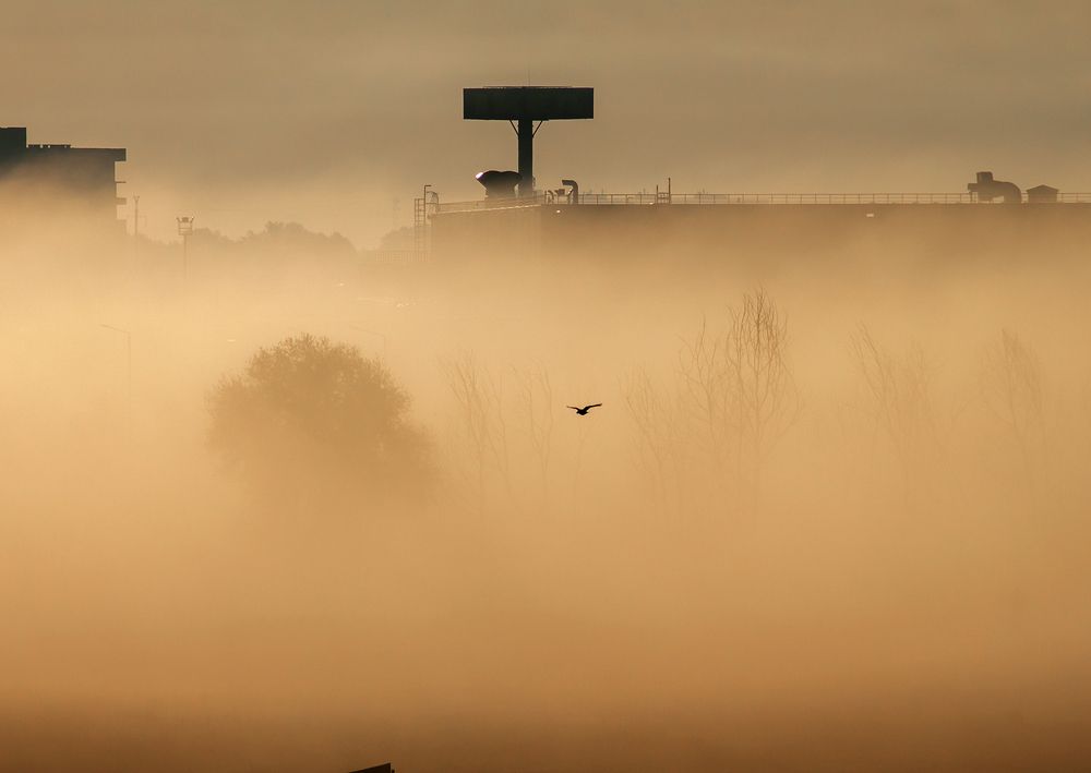 Photograph by Рябоконь Ирина