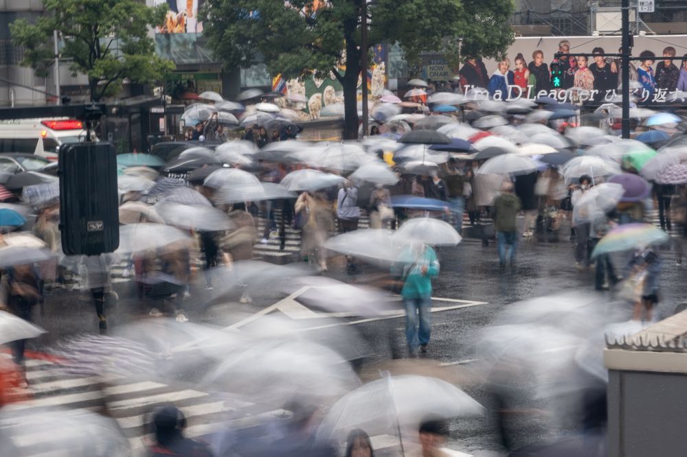The Umbrella Movement of Shibuya Crossing