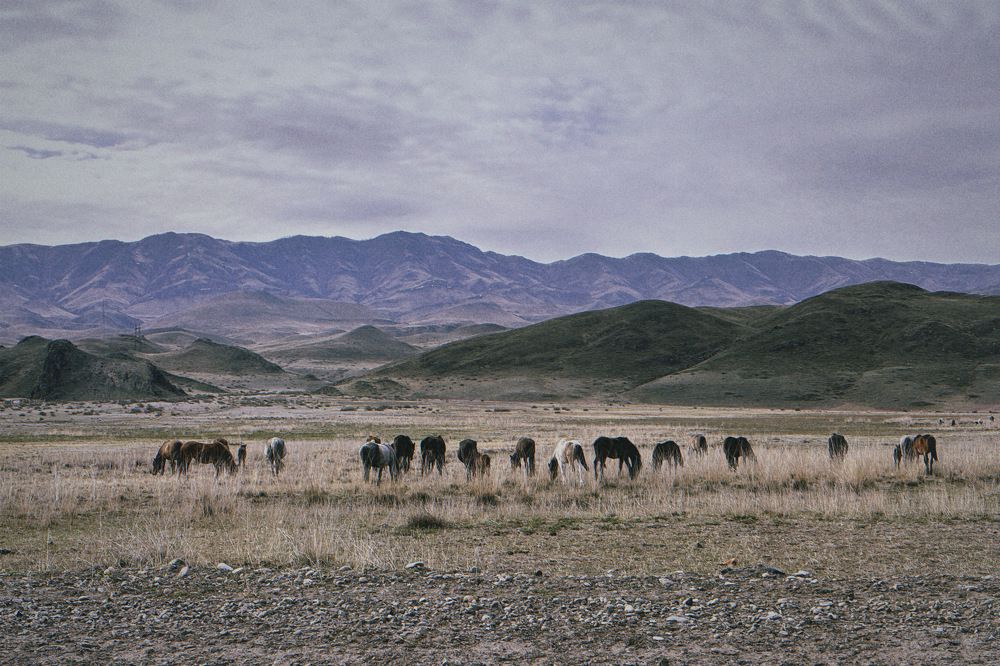 Photograph by Козинец Александр