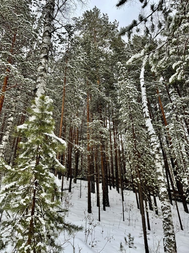 Фотография автора Алексей С