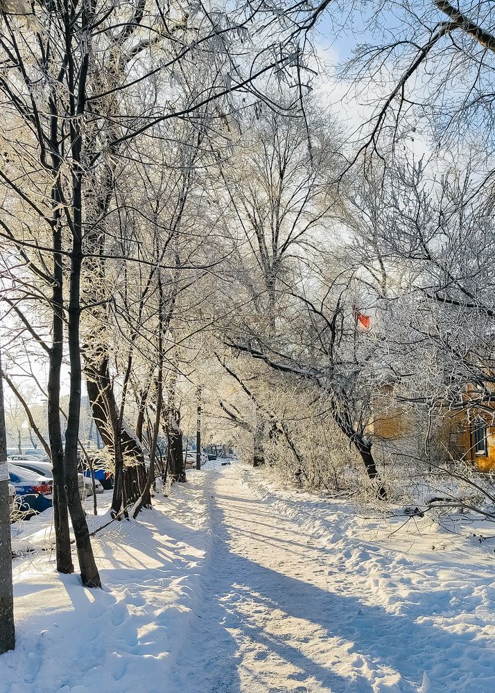 Photograph by Катерина Гущина