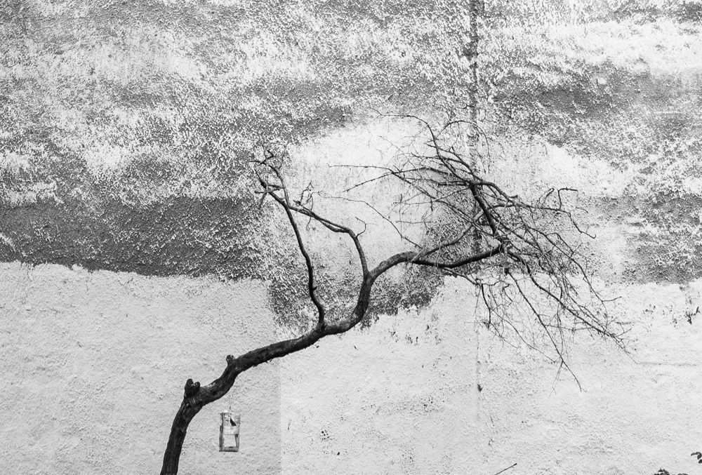 Фотография автора Олег Анатольевич Загорулько