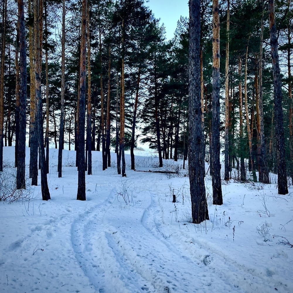 Photograph by Nadya Sterligova