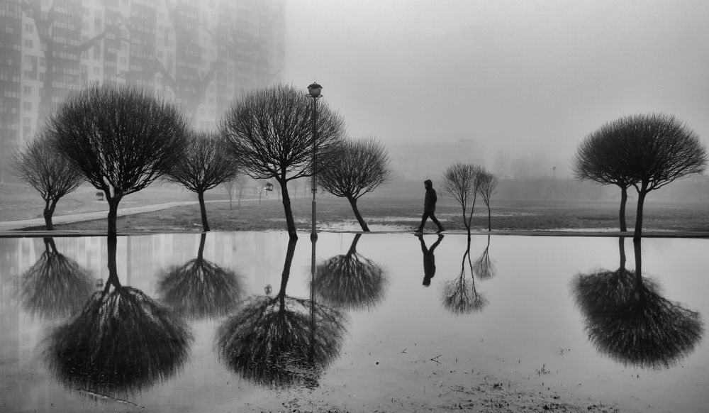 Photograph by Денис Никулин