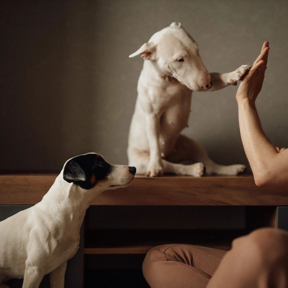 Photograph by Юлия