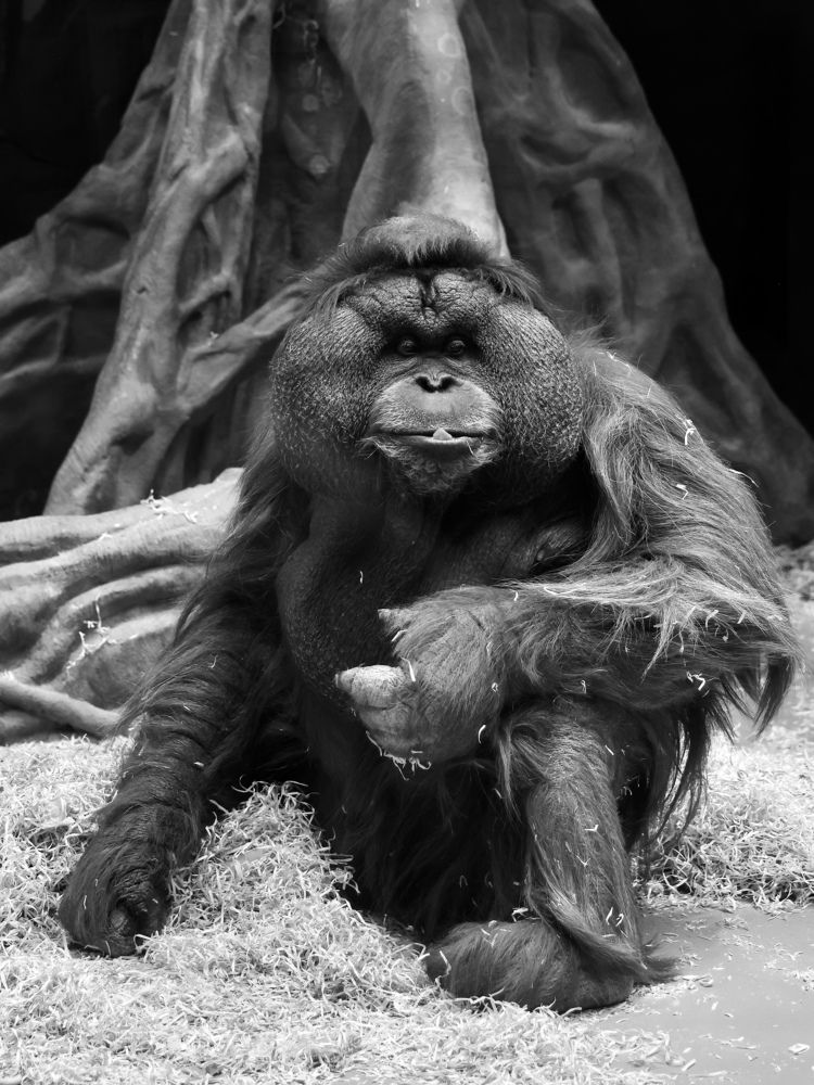 Photograph by Евгения Казакова