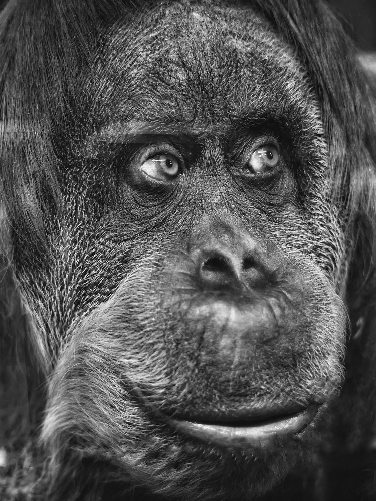 Photograph by Евгения Казакова