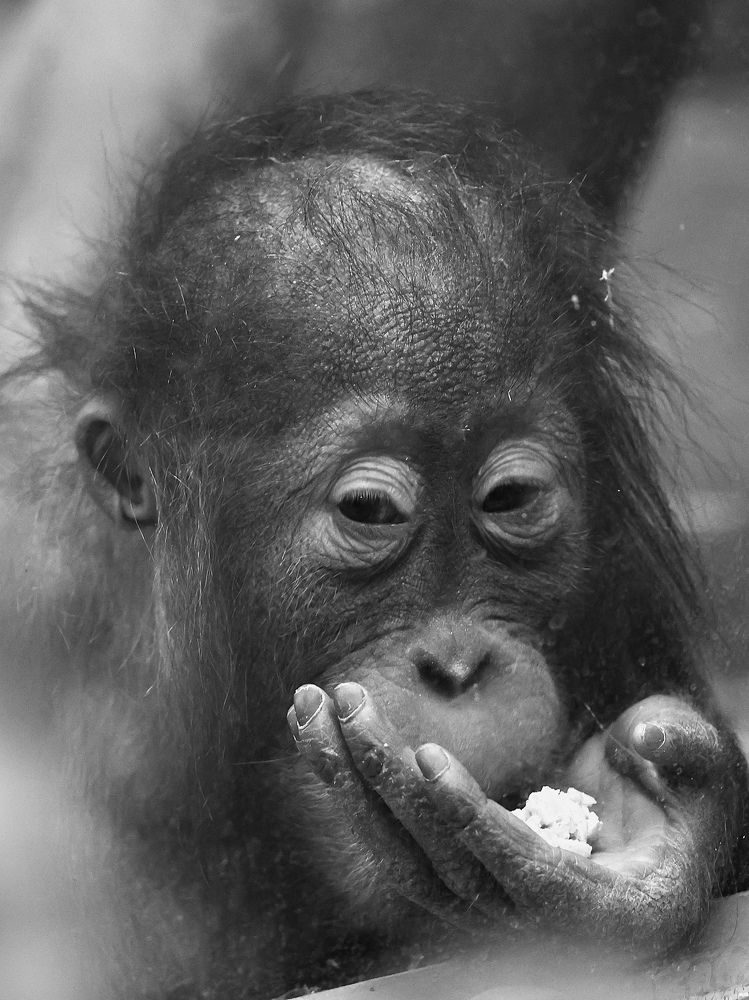 Photograph by Евгения Казакова