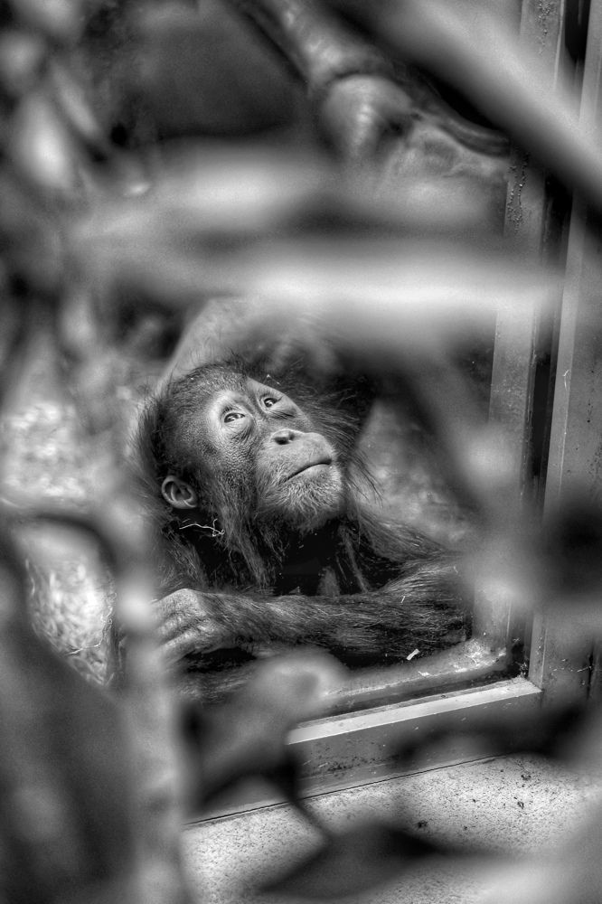 Photograph by Евгения Казакова