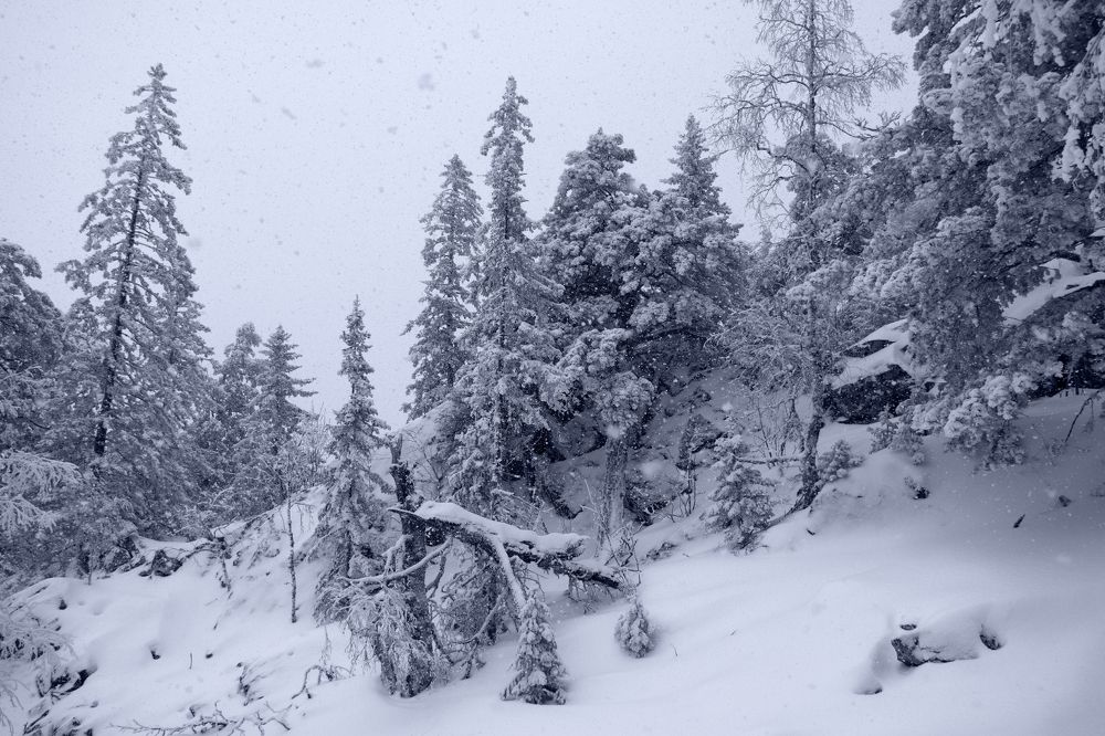 Снегопад в горах