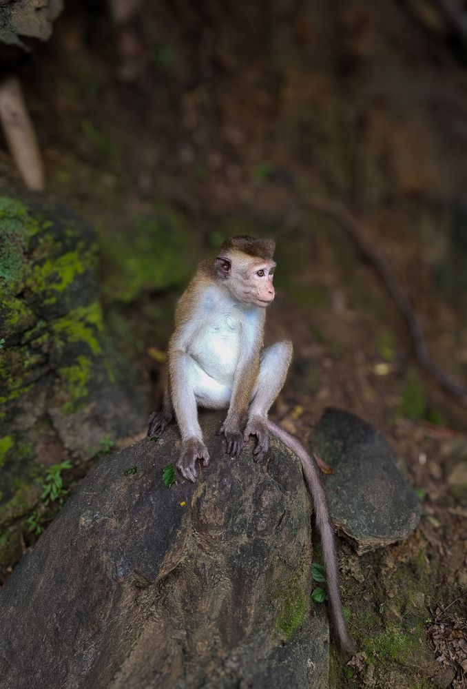 Photograph by Maria Volnova