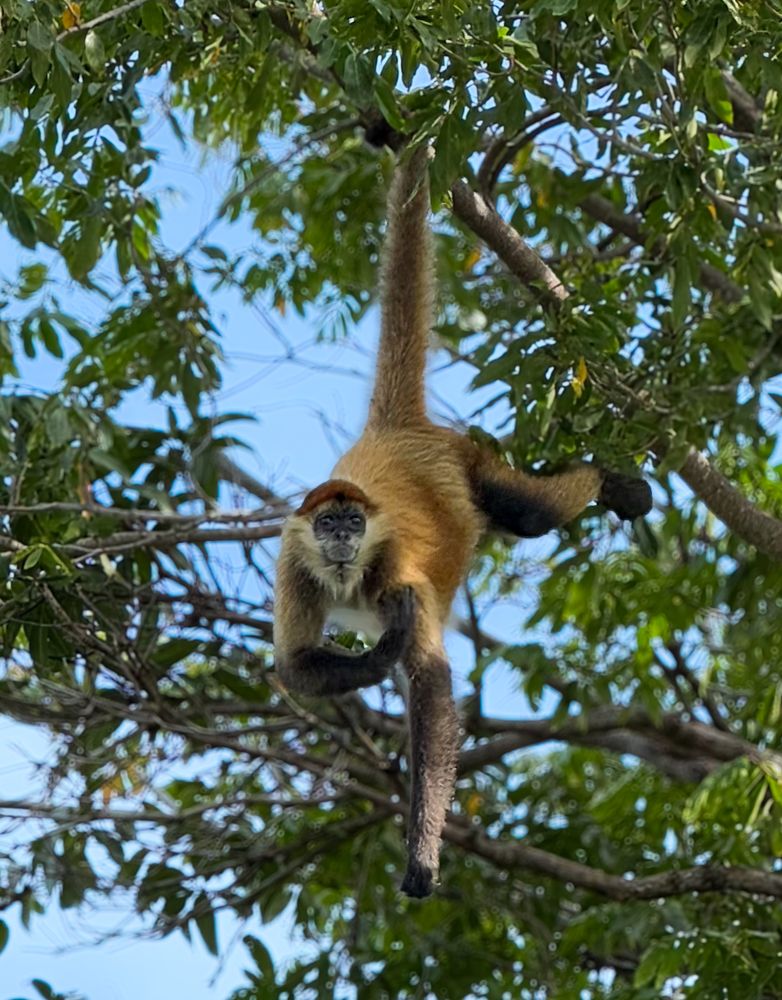 Photograph by Maria Volnova