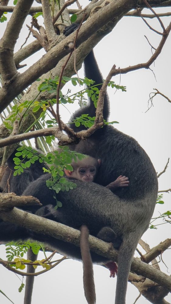 Photograph by Maria Volnova