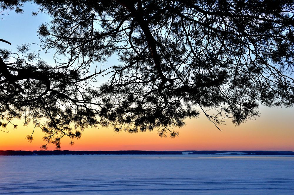 Photograph by Александр Зуев