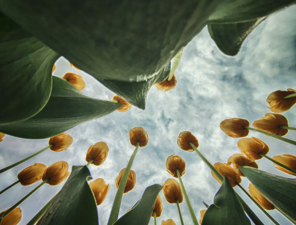 Photograph by Natalia Bolotenkova