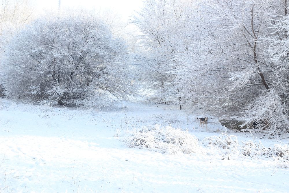 Photograph by АЛЛА ТАРАСЕНКО