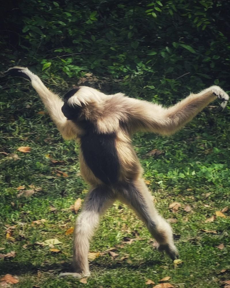 Photograph by Анна Далингер